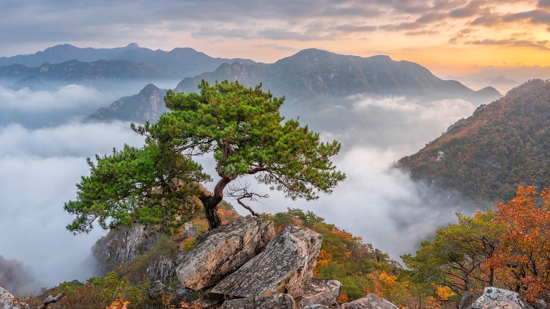 怀念啊我们的青春啊，昨天在记忆里生根发芽！-觅爱图